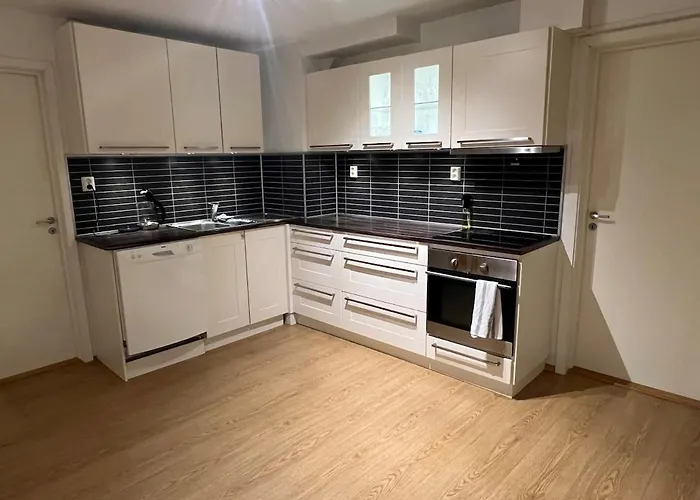 Spacious Apartment- Walking Distance To Citycenter