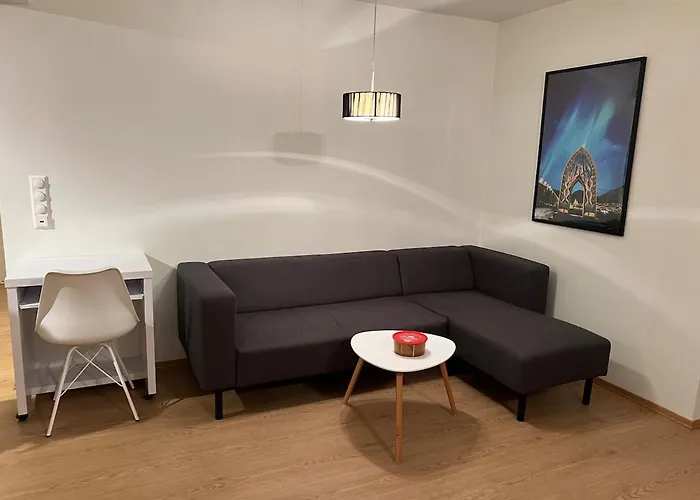 Spacious Apartment- Walking Distance To Citycenter Appartamento